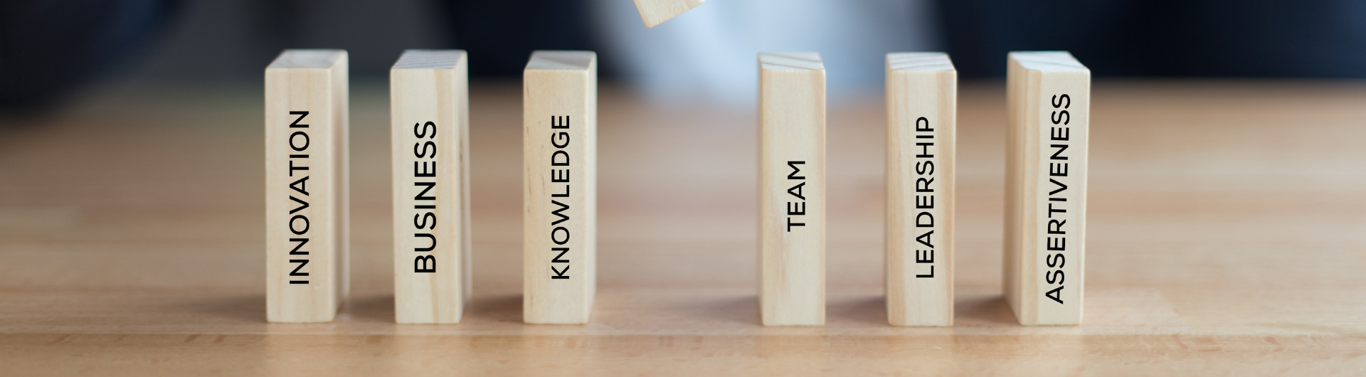 Competencias empresariales y sociales